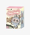 1 Box Bubu TheMonster Box
